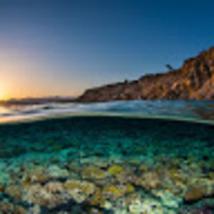 Meet your Posher, Kara